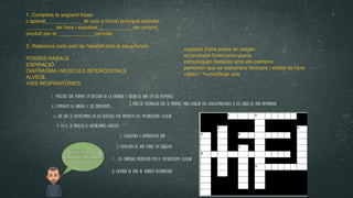 COntesta a las
siguientes preguntas
en tu libreta
1. Músculo que permite la sucesión de la entrada y salida de aire en los pulmones
6. Comunica la laringe y los bronquios
8. Entrada de aire al aparato respiratorio
9. En el se realiza el intercambio gaseoso
2. Calientan y humidifican aire
5. Paso de sustancias que se produce para igualar las concentraciones a los lados de una membrana
4. Gas que se intercambia en los alvéolos con producto del metabolismo celular
5. Expulsión de aire pobre en oxígeno
7 … de carbono, producido por el metabolismo celular
1. Completa la següent frase
:

L'aparell_____________ té com a funció principal obtindre
__________ de l'aire i expulsar____________ de carboni,
produït per el _____________cel·lular
.

2. Relaciona cada part de l'aparell amb la seua funció
:

FOSSES NASAL
S

ESPIRACI
Ó

DIAFRAGMA I MÚSCULS INTERCOSTAL
S

ALVÈO
L

VIES RESPIRATÒRIE
S

expulsió d'aire pobre en oxige
n

es produeix l'intercanvi gasó
s

comuniquen l'exterior amb els pulmons
 

permeten que se succeïsca l'entrada i eixida de l'air
e

calfen i *humidi
fi
can air
e

 
