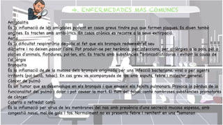 Amigdalitis 

És la in
fl
amació de les amígdales podent en casos greus tindre pus que formen plaques. Es diuen també
angines. Es tracten amb antibiòtics. En casos crònics es recorre a la seua extirpació.

Asma 

És la di
fi
cultat respiratòria deguda al fet que els bronquis redueixen el seu 

diàmetre i no deixen passar l'aire. Pot produir-se per herència, per infeccions, per al·lèrgies a la pols, pèl o
plomes d'animals,
fl
oridures, pol·len, etc. Es tracta amb substàncies *broncodilatadoras i evitant la causa de
l'al·lèrgia

Bronquitis 

És la in
fl
amació de de la mucosa dels bronquis originada per una infecció bacteriana, viral o per agents
irritants (pol·lució, tabac). En cas greu va acompanyada de tos amb esputs, febre i malestar general.

Càncer de pulmó 

És un tumor que es desenvolupa en els bronquis i que envaeix els teixits pulmonars. Provoca la pèrdua de la
funcionalitat del pulmó i dolor i pot causar la mort. El fum del tabac conté nombroses substàncies promotores
de càncer.

Catarro o refredat comú 

És la in
fl
amació per virus de les membranes del nas amb presència d'una secreció mucosa espessa, amb
congestió nasal, mal de gola i tos. Normalment no es presenta febre i remitent en una *semanan 

4. ENFERMEDADES MAS COMUNES
 