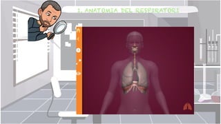 1. ANATOMIA DEL RESPIRATORI


 