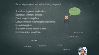 Fes correspondre cada nom amb la funció corresponent.




T
é anells cartilaginosos semicirculars.


Es produeix l'intercanvi de gasos.


Calent, neteja i humiteja l'aire.


La seua contracció involuntària provoca el singlot.


Presenta la epiglotis.


Gran ramificació que entra en el pulmó.


Punt comú amb la boca i l’oïda.
CAVITAT NASAL
DIAFRAGMA
FARINGE
LARINGE
TRÀQUEA
BRONQUIS
ALVèOL
COntesta a las
siguientes preguntas
en tu libreta
 