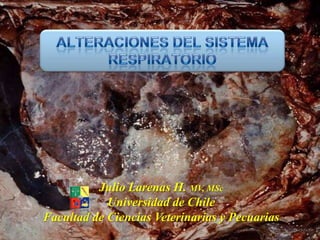 Julio Larenas H. MV, MSc
            Universidad de Chile
Facultad de Ciencias Veterinarias y Pecuarias
 
