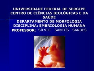 UNIVERSIDADE FEDERAL DE SERGIPE CENTRO DE CIÊNCIAS BIOLÓGICAS E DA SAÚDE DEPARTAMENTO DE MORFOLOGIA DISCIPLINA: EMBRIOLOGIA HUMANA PROFESSOR: SÍLVIO SANTOS SANDES 