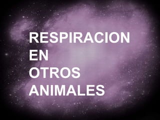 RESPIRACION EN OTROS  ANIMALES 