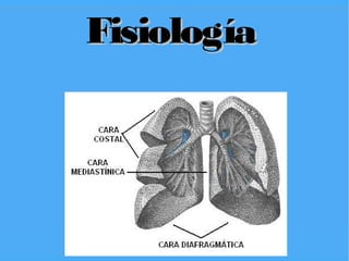 Fisiología
12



10



8


                                           Columna 1
6                                          Columna 2
                                           Columna 3


4



2



0
     Fila 1     Fila 2   Fila 3   Fila 4
 