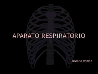 APARATO RESPIRATORIO
Rosario Román
 