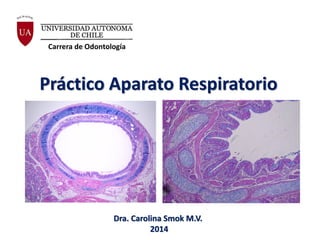 Práctico Aparato Respiratorio 
Dra. Carolina Smok M.V. 2014 
Carrera de Odontología  