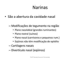 Narinas
• São a abertura da cavidade nasal
– Modificações de tegumento na região
• Plano nasolabial (grandes ruminantes)
• Plano rostral (suínos)
• Plano nasal (carnívoros e pequenos rum.)
• Eqüinos não têm modificação de epitélio
– Cartilagens nasais
– Divertículo nasal (eqüinos)
Profª Renata Avancini Fernandes
 