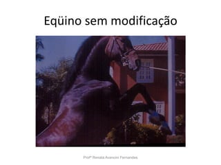 Eqüino sem modificação
Profª Renata Avancini Fernandes
 