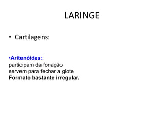 • Cartilagens:
•Aritenóides:
participam da fonação
servem para fechar a glote
Formato bastante irregular.
LARINGE
 