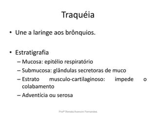 Traquéia
• Une a laringe aos brônquios.
• Estratigrafia
– Mucosa: epitélio respiratório
– Submucosa: glândulas secretoras de muco
– Estrato musculo-cartilaginoso: impede o
colabamento
– Adventícia ou serosa
Profª Renata Avancini Fernandes
 
