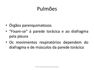 Pulmões
• Órgãos parenquimatosos
• “Fixam-se” à parede torácica e ao diafragma
pela pleura
• Os movimentos respiratórios dependem do
diafragma e de músculos da parede torácica
Profª Renata Avancini Fernandes
 