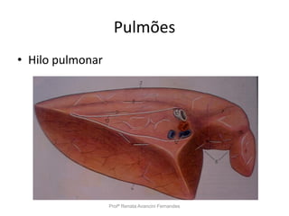 Pulmões
• Hilo pulmonar
Profª Renata Avancini Fernandes
 