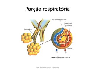 Porção respiratória
Profª Renata Avancini Fernandes
www.infoescola.com.br
 