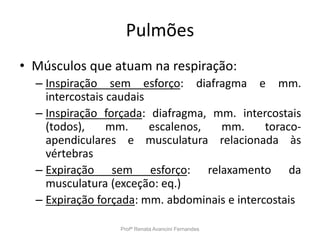 Pulmões
• Músculos que atuam na respiração:
– Inspiração sem esforço: diafragma e mm.
intercostais caudais
– Inspiração forçada: diafragma, mm. intercostais
(todos), mm. escalenos, mm. toraco-
apendiculares e musculatura relacionada às
vértebras
– Expiração sem esforço: relaxamento da
musculatura (exceção: eq.)
– Expiração forçada: mm. abdominais e intercostais
Profª Renata Avancini Fernandes
 