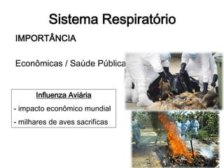 Sistema Respiratório
IMPORTÂNCIA
Econômicas / Saúde Pública
Influenza Aviária
- impacto econômico mundial
- milhares de aves sacrificas
 