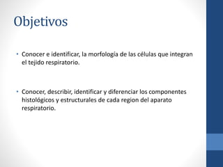 Objetivos
• Conocer e identificar, la morfología de las células que integran
el tejido respiratorio.
• Conocer, describir,...