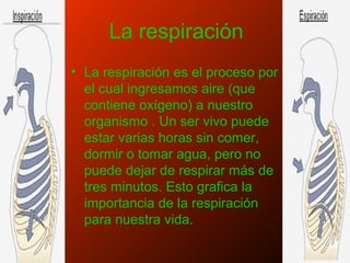 La respiración
• La respiración es el proceso por
el cual ingresamos aire (que
contiene oxígeno) a nuestro
organismo . Un ser vivo puede
estar varias horas sin comer,
dormir o tomar agua, pero no
puede dejar de respirar más de
tres minutos. Esto grafica la
importancia de la respiración
para nuestra vida.
 