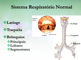 Sistema Respiratório Normal


Laringe
Traquéia
Brônquios
 Principais
 Lobares
 Segmentares
 