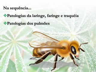 Na sequência...
Patologias da laringe, faringe e traquéia
Patologias dos pulmões
 