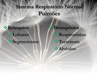 Sistema Respiratório Normal
             Pulmões

Brônquios       Bronquíolos
 Lobares         Respiratórios
 Segmentares     Terminais
                  Alvéolos
 