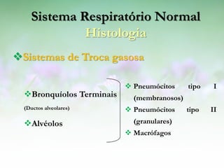 Sistema Respiratório Normal
             Histologia
Sistemas de Troca gasosa

                            Pneumócitos     tipo    I
  Bronquíolos Terminais     (membranosos)
  (Ductos alveolares)       Pneumócitos     tipo   II
  Alvéolos                  (granulares)
                            Macrófagos
 