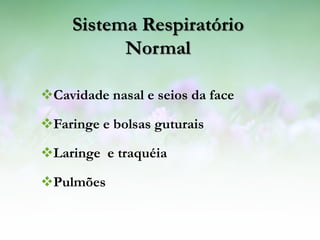 Sistema Respiratório
           Normal

Cavidade nasal e seios da face

Faringe e bolsas guturais

Laringe e traquéia

Pulmões
 
