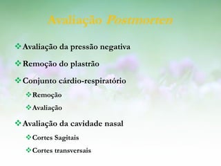 Avaliação Postmorten
Avaliação da pressão negativa
Remoção do plastrão
Conjunto cárdio-respiratório
  Remoção
  Avaliação

Avaliação da cavidade nasal
  Cortes Sagitais
  Cortes transversais
 