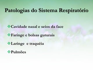 Patologias do Sistema Respiratório

 Cavidade nasal e seios da face

 Faringe e bolsas guturais

 Laringe e traquéia

 Pulmões
 