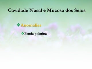 Cavidade Nasal e Mucosa dos Seios

   Anomalias
     Fenda palatina
 