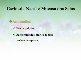 Cavidade Nasal e Mucosa dos Seios

 Anomalias
  Fenda palatina

  Deformidades crânio-faciais
    Condrodisplasia
 