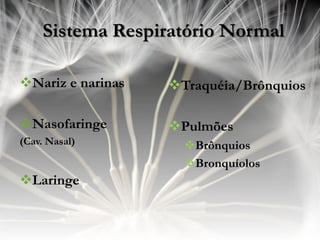 Sistema Respiratório Normal

Nariz e narinas   Traquéia/Brônquios

Nasofaringe       Pulmões
(Cav. Nasal)         Brônquios
                     Bronquíolos
Laringe
 