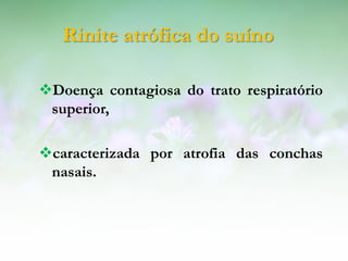 Rinite atrófica do suíno

Doença contagiosa do trato respiratório
 superior,

caracterizada por atrofia das conchas
 nasais.
 
