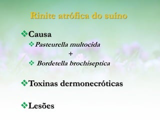 Rinite atrófica do suíno
Causa
 Pasteurella multocida
              +
  Bordetella brochiseptica

Toxinas dermonecróticas

Lesões
 