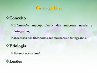Garrotilho
Conceito
  Inflamação mucopurulenta das mucosas nasais e
    faringeanas,

  abscessos nos linfonodos submaxilares e faringeanos.

Etiologia
   Streptococcus equi

Lesões
 