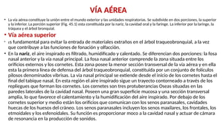VÍA AÉREA
• La vía aérea constituye la unión entre el mundo exterior y las unidades respiratorias. Se subdivide en dos porciones, la superior
y la inferior. La porción superior (Fig. 45.1) esta constituida por la nariz, la cavidad oral y la faringe. La inferior por la laringe, la
tráquea y el árbol bronquial.
• Vía aérea superior
• Es fundamental para evitar la entrada de materiales extraños en el árbol traqueobronquial, a la vez
que contribuye a las funciones de fonación y olfacción.
• En la nariz, el aire inspirado es filtrado, humidificado y calentado. Se diferencian dos porciones: la fosa
nasal anterior y la vía nasal principal. La fosa nasal anterior comprende la zona situada entre los
orificios externos y los cornetes. Esta zona posee la menor sección transversal de la vía aérea y en ella
esta la primera línea de defensa del árbol traqueobronquial, constituida por un conjunto de folículos
pilosos denominados vibrisas. La via nasal principal se extiende desde el inicio de los cornetes hasta el
final del tabique nasal. En esta región el aire inspirado sigue un trayecto contorneado a través de los
repliegues que forman los cornetes. Los cornetes son tres protuberancias Oseas situadas en las
paredes laterales de la cavidad nasal. Poseen una gran superficie mucosa y una sección transversal
amplia, lo que favorece el calentamiento y la humidificación del aire inspirado. Por debajo de los
cornetes superior y medio están los orificios que comunican con los senos paranasales, cavidades
huecas de los huesos del cráneo. Los senos paranasales incluyen los senos maxilares, los frontales, los
etmoidales y los esfenoidales. Su función es proporcionar moco a la cavidad nasal y actuar de cámara
de resonancia en la producción de sonidos.
 