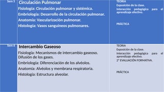 Sem 5
Circulación Pulmonar
Fisiología: Circulación pulmonar y sistémica.
Embriología: Desarrollo de la circulación pulmonar.
Anatomía: Vascularización pulmonar.
Histología: Vasos sanguíneos pulmonares.
TEORIA
Exposición de la clase.
Interacción pedagógica para el
aprendizaje efectivo.
PRÁCTICA
Sem 6
Intercambio Gaseoso
Fisiología: Mecanismos de intercambio gaseoso.
Difusión de los gases.
Embriología: Diferenciación de los alvéolos.
Anatomía: Alvéolos y membrana respiratoria.
Histología: Estructura alveolar.
TEORIA
Exposición de la clase.
Interacción pedagógica para el
aprendizaje efectivo.
2ª EVALUACIÓN FORMATIVA.
PRÁCTICA
 