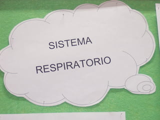 Respiratorio y excretor