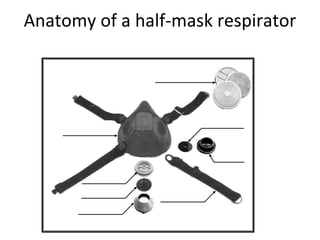 Anatomy of a half-mask respirator
 
