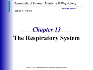 Essentials of Human Anatomy & Physiology Copyright © 2003 Pearson Education, Inc. publishing as Benjamin Cummings Seventh Edition Elaine N. Marieb Chapter 13 The Respiratory System 