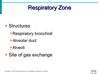 Respiratory Zone Slide 13.16 Copyright © 2003 Pearson Education, Inc. publishing as Benjamin Cummings Structures Respiratory bronchioli Alveolar duct Alveoli Site of gas exchange 