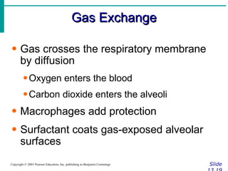 Gas Exchange Slide 13.19 Copyright © 2003 Pearson Education, Inc. publishing as Benjamin Cummings Gas crosses the respiratory membrane by diffusion Oxygen enters the blood Carbon dioxide enters the alveoli Macrophages add protection Surfactant coats gas-exposed alveolar surfaces 