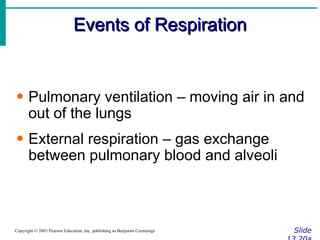Events of Respiration Slide 13.20a Copyright © 2003 Pearson Education, Inc. publishing as Benjamin Cummings Pulmonary ventilation – moving air in and out of the lungs External respiration – gas exchange between pulmonary blood and alveoli 