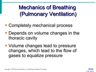 Mechanics of Breathing  (Pulmonary Ventilation) Slide 13.21a Copyright © 2003 Pearson Education, Inc. publishing as Benjamin Cummings Completely mechanical process Depends on volume changes in the thoracic cavity Volume changes lead to pressure changes, which lead to the flow of gases to equalize pressure 