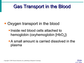 Gas Transport in the Blood Slide 13.33a Copyright © 2003 Pearson Education, Inc. publishing as Benjamin Cummings Oxygen transport in the blood Inside red blood cells attached to hemoglobin (oxyhemoglobin [HbO 2 ]) A small amount is carried dissolved in the plasma 