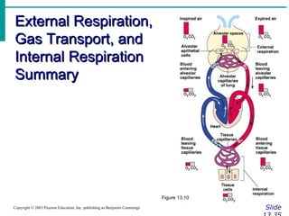 External Respiration, Gas Transport, and Internal Respiration Summary Slide 13.35 Copyright © 2003 Pearson Education, Inc. publishing as Benjamin Cummings Figure 13.10 