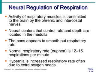 Neural Regulation of Respiration Slide 13.36 Copyright © 2003 Pearson Education, Inc. publishing as Benjamin Cummings Activity of respiratory muscles is transmitted to the brain by the phrenic and intercostal nerves Neural centers that control rate and depth are located in the medulla The pons appears to smooth out respiratory rate Normal respiratory rate (eupnea) is 12–15 respirations per minute Hypernia is increased respiratory rate often due to extra oxygen needs 