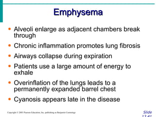 Emphysema Slide 13.41 Copyright © 2003 Pearson Education, Inc. publishing as Benjamin Cummings Alveoli enlarge as adjacent chambers break through Chronic inflammation promotes lung fibrosis Airways collapse during expiration Patients use a large amount of energy to exhale Overinflation of the lungs leads to a permanently expanded barrel chest Cyanosis appears late in the disease 