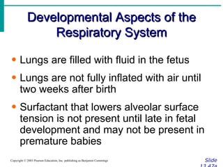 Developmental Aspects of the Respiratory System Slide 13.47a Copyright © 2003 Pearson Education, Inc. publishing as Benjamin Cummings Lungs are filled with fluid in the fetus Lungs are not fully inflated with air until two weeks after birth Surfactant that lowers alveolar surface tension is not present until late in fetal development and may not be present in premature babies 