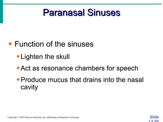 Paranasal Sinuses Slide 13.5b Copyright © 2003 Pearson Education, Inc. publishing as Benjamin Cummings Function of the sinuses Lighten the skull Act as resonance chambers for speech Produce mucus that drains into the nasal cavity 
