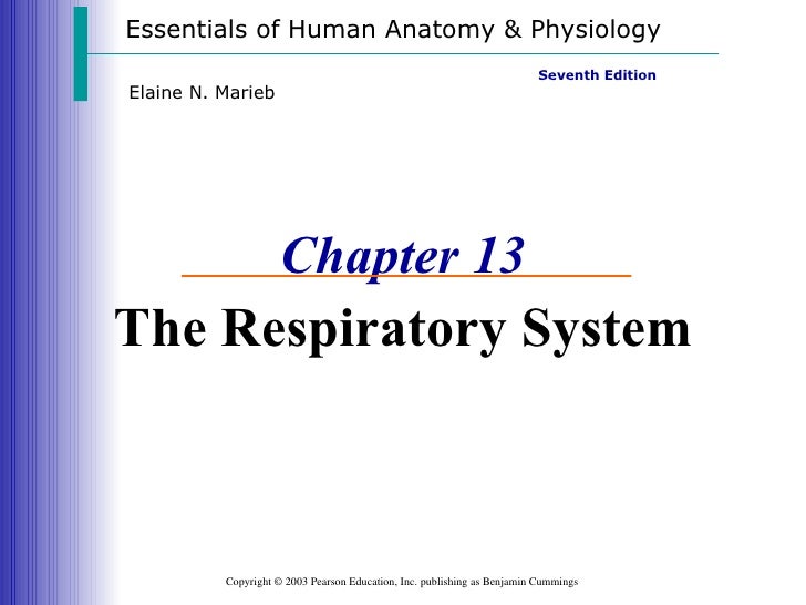 Respiratory Physiology Pdf The Essentials Of Imaging